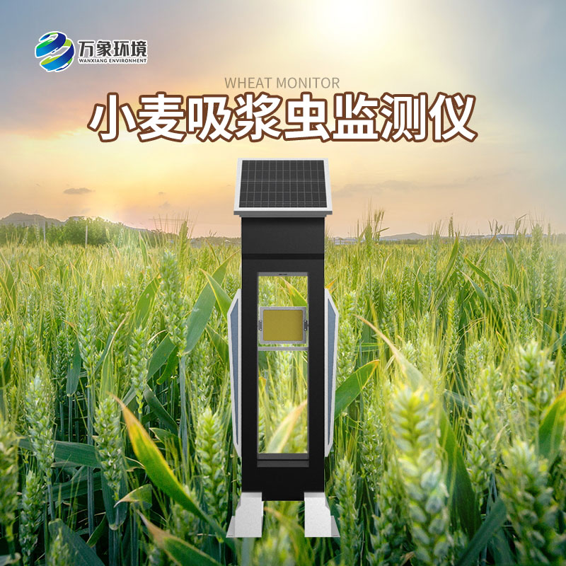 小麥吸漿蟲監(jiān)測(cè)儀怎樣監(jiān)測(cè)蟲害？